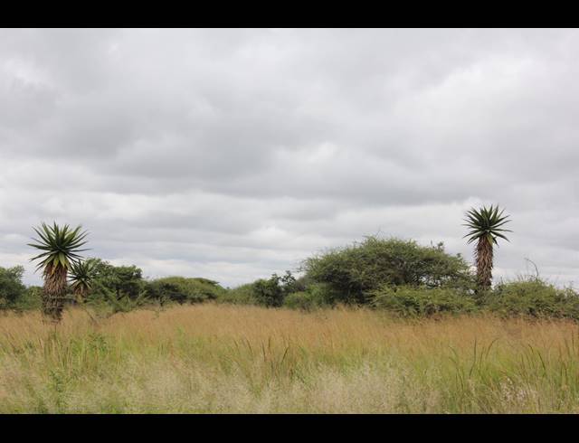 23HA VACANT LAND FOR SALE IN BENDOR